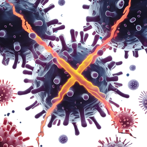 عبوة فوط صحية عضوية عالية الامتصاص بدون بلاستيك مع حماية تدوم 12 ساعة، مناسبة للنساء الباحثات عن الراحة والكرامة.
